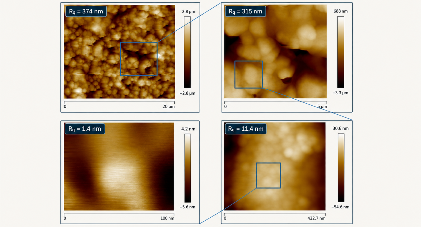 AFM image showing representative membrane surface topography